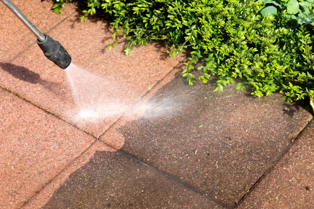 Best Roof Pressure Washing  in Gray, GA